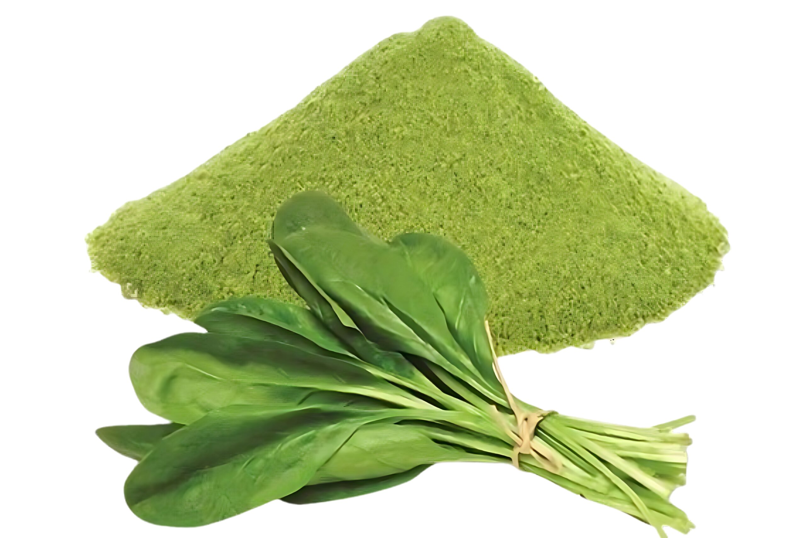 pallavi enterprises import export